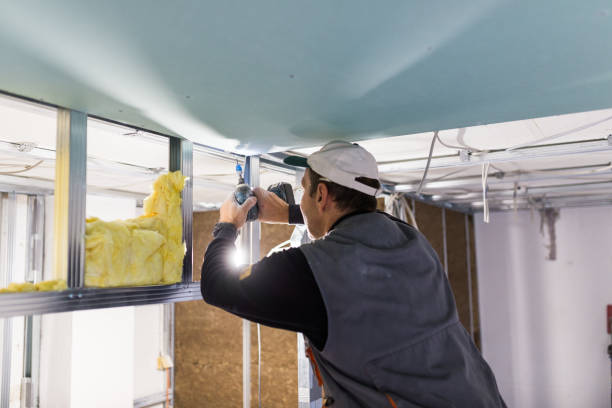 Professional Insulation Contractor in MO