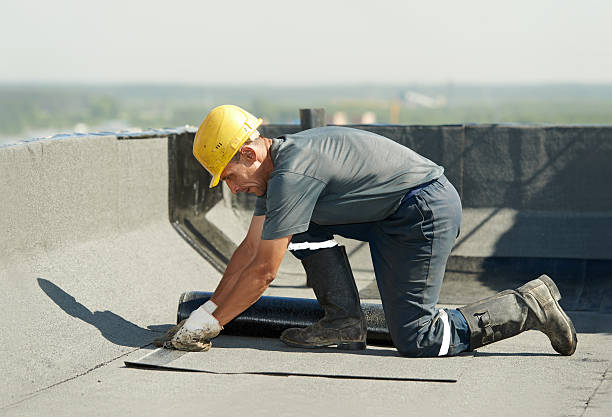 Best Insulation Installation Services in Concordia, MO